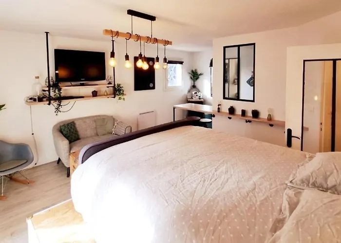 Cosy Atypique - Toulouse