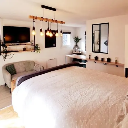 Cosy Atypique - Toulouse