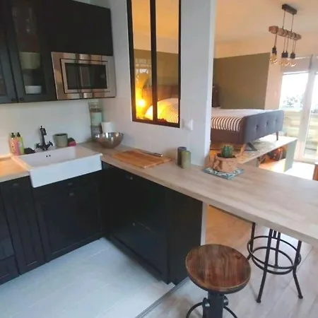 Cosy Atypique - Toulouse